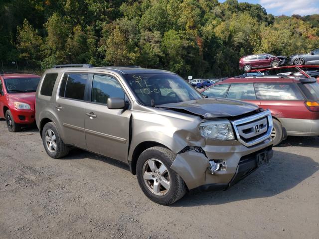 HONDA PILOT EXL 2011 5fnyf4h54bb063499