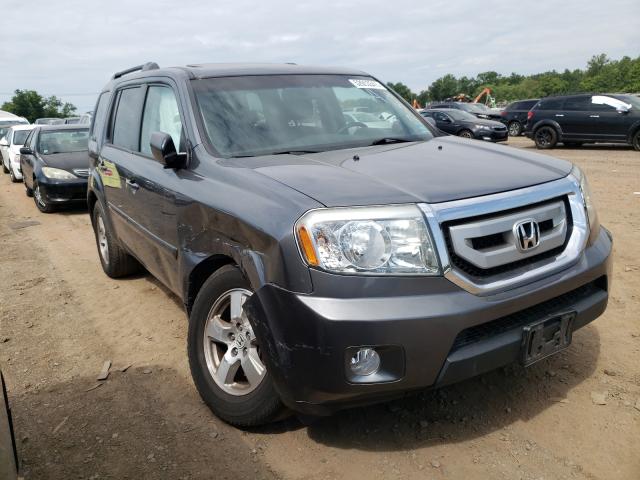 HONDA PILOT EXL 2011 5fnyf4h54bb069111