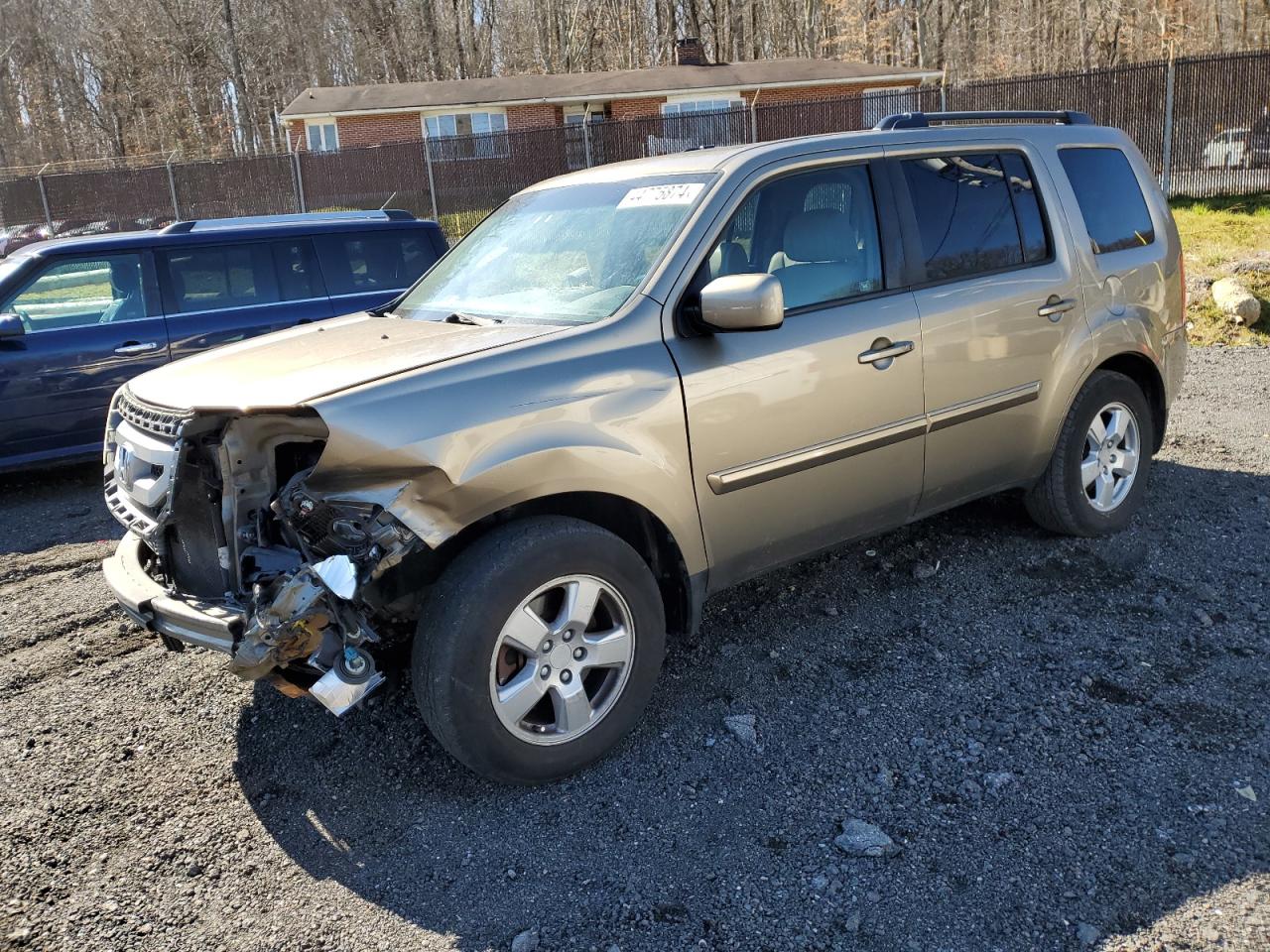 HONDA PILOT 2011 5fnyf4h54bb084269