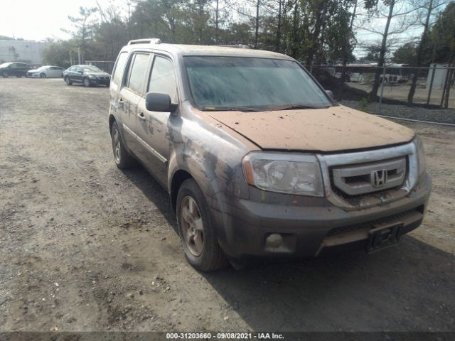 HONDA PILOT 2011 5fnyf4h54bb091142