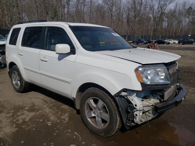 HONDA PILOT EXL 2011 5fnyf4h54bb100227