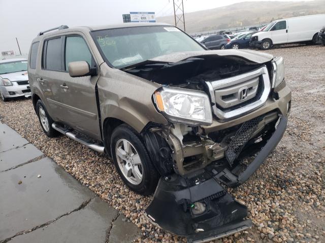 HONDA PILOT EXL 2011 5fnyf4h54bb102110