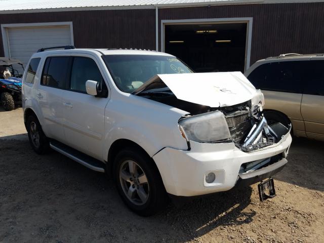 HONDA PILOT EXL 2011 5fnyf4h54bb105282