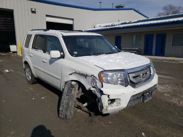 HONDA PILOT EXL 2011 5fnyf4h54bb105329