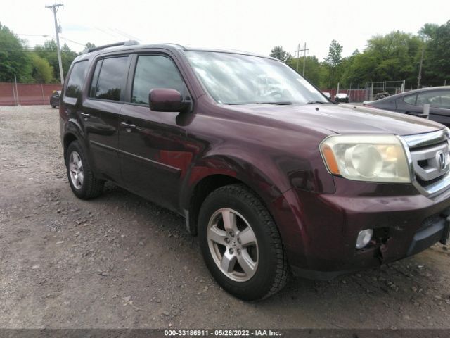 HONDA PILOT 2010 5fnyf4h55ab001270