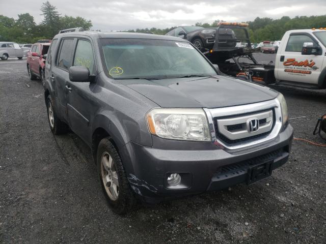 HONDA PILOT EXL 2010 5fnyf4h55ab010986