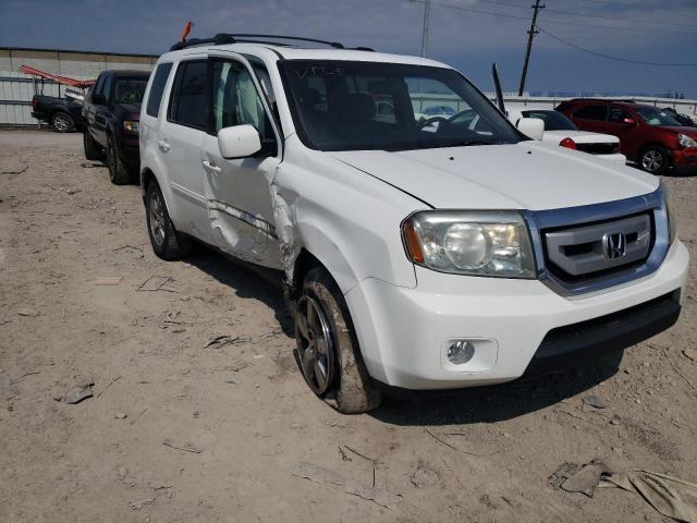 HONDA PILOT EXL 2010 5fnyf4h55ab028808