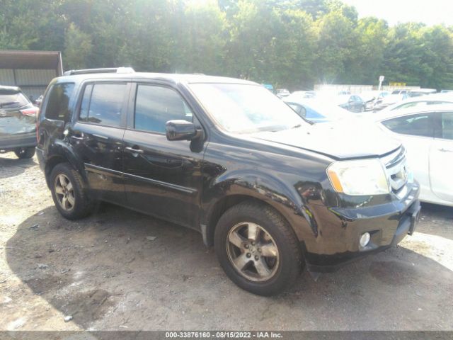 HONDA PILOT 2010 5fnyf4h55ab029165