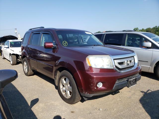 HONDA PILOT EXL 2011 5fnyf4h55bb002677