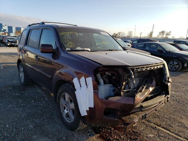 HONDA PILOT EXL 2011 5fnyf4h55bb004560