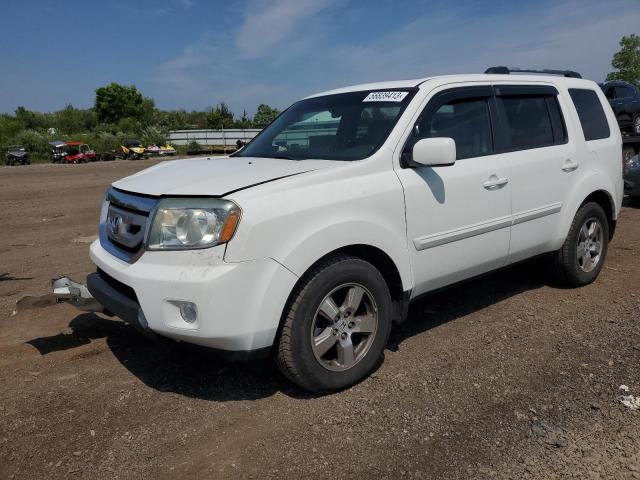 HONDA PILOT EXL 2011 5fnyf4h55bb009953