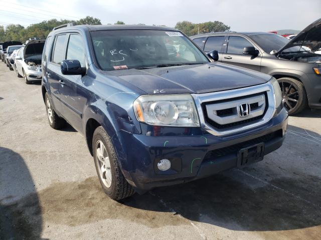 HONDA PILOT EXL 2011 5fnyf4h55bb025098