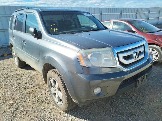 HONDA PILOT EXL 2011 5fnyf4h55bb027983