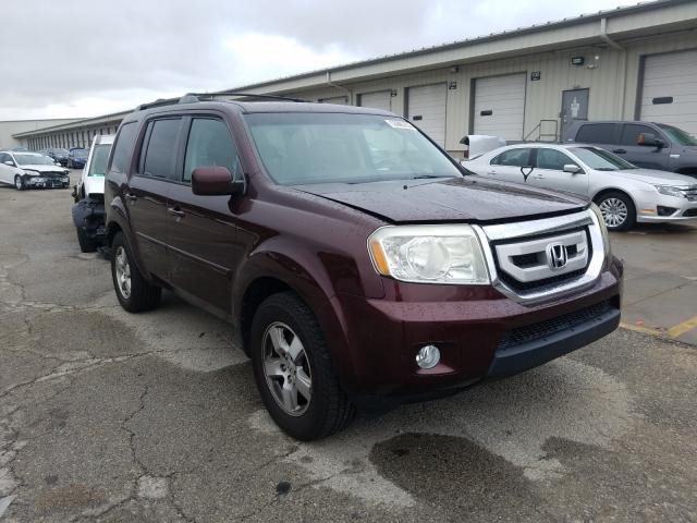 HONDA PILOT EXL 2011 5fnyf4h55bb031094