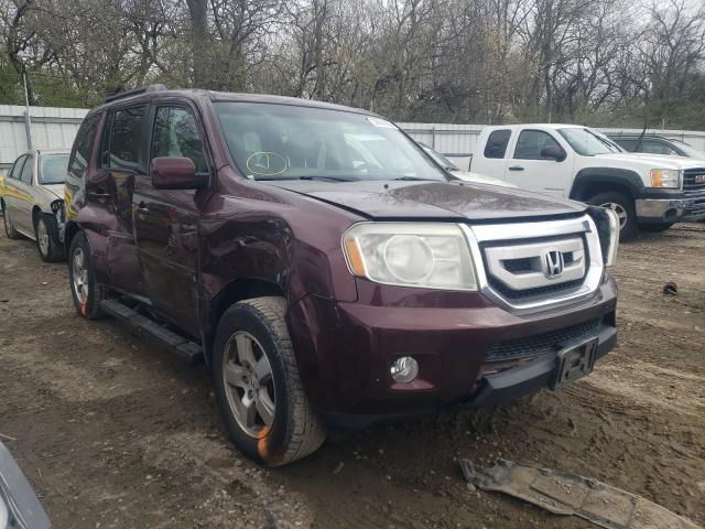 HONDA PILOT EXL 2011 5fnyf4h55bb033492