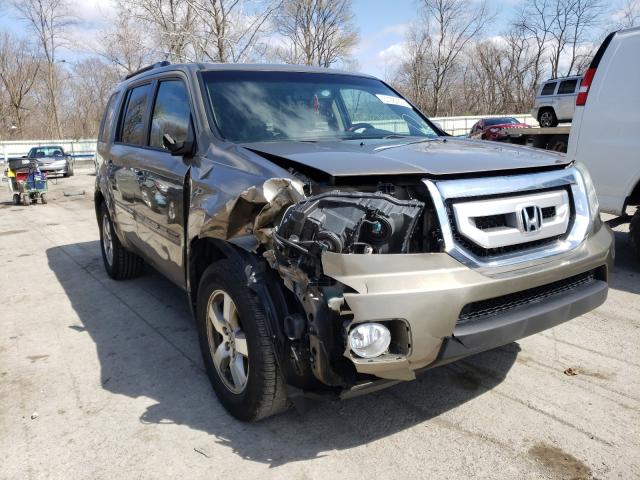 HONDA PILOT EXL 2011 5fnyf4h55bb033881