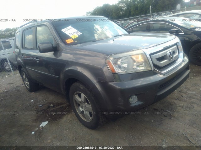 HONDA PILOT 2011 5fnyf4h55bb052897