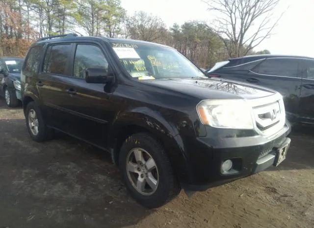 HONDA PILOT 2011 5fnyf4h55bb064015