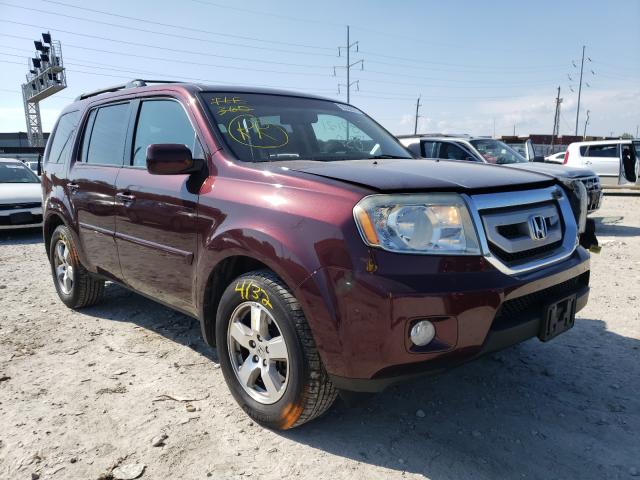 HONDA PILOT EXL 2011 5fnyf4h55bb080165