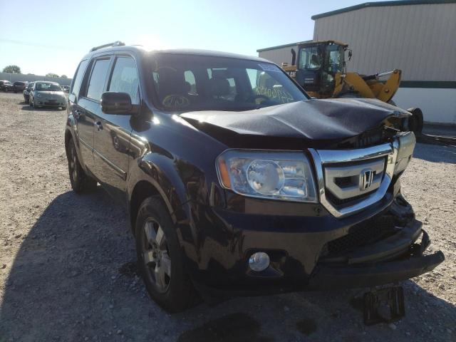 HONDA PILOT EXL 2011 5fnyf4h55bb093451