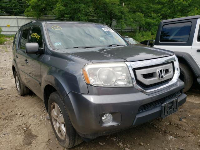 HONDA PILOT EXL 2011 5fnyf4h55bb100513