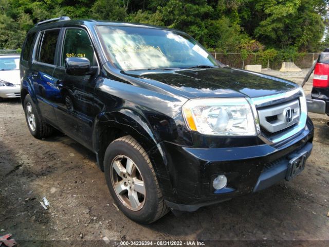 HONDA PILOT 2011 5fnyf4h55bb105811