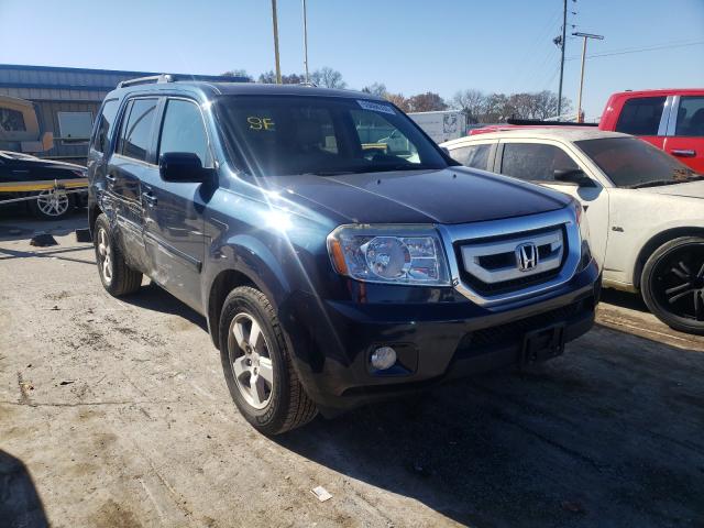 HONDA PILOT EXL 2011 5fnyf4h55bb106392