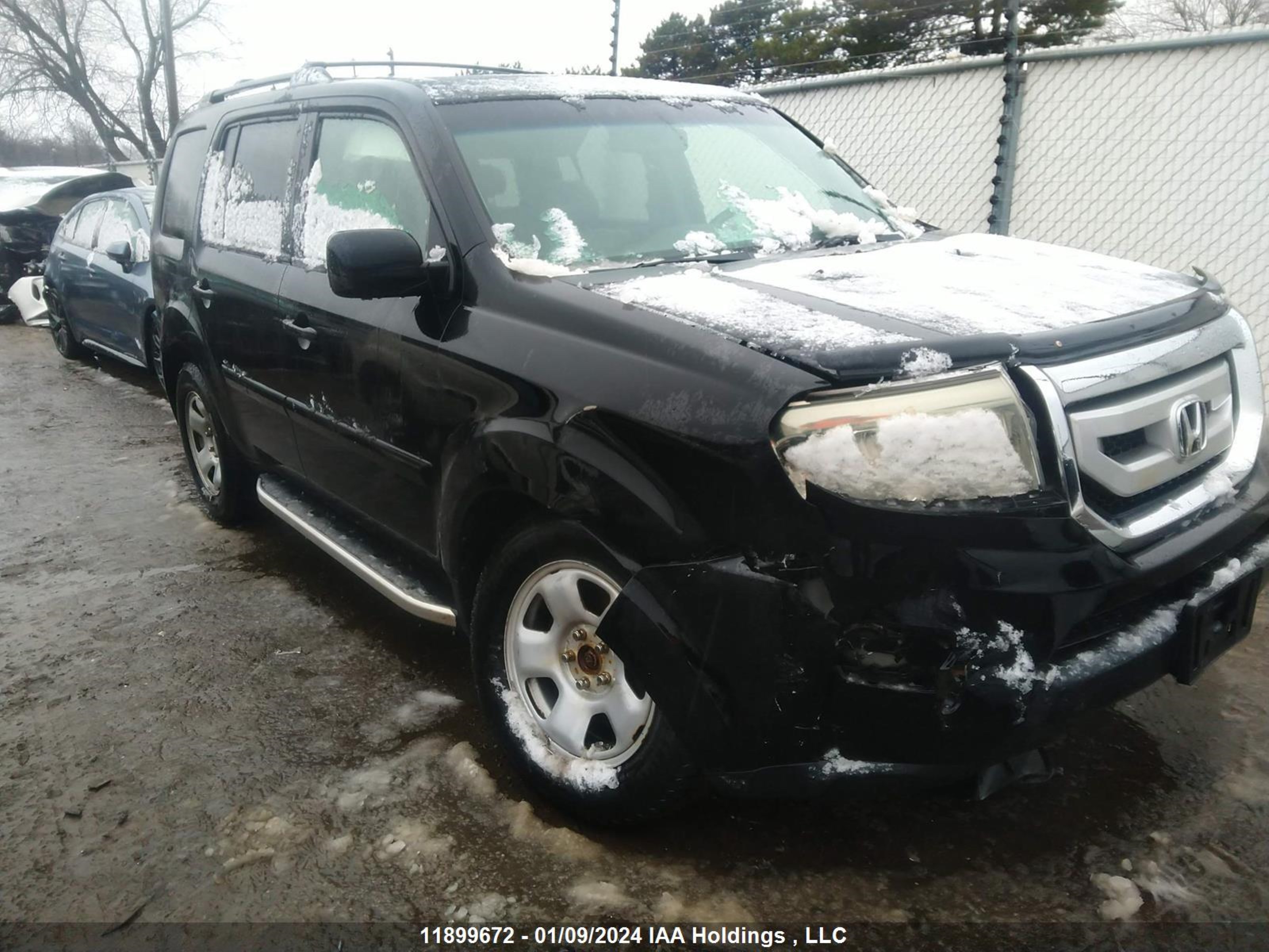 HONDA PILOT 2011 5fnyf4h55bb501740