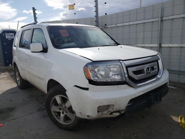 HONDA PILOT EXL 2010 5fnyf4h56ab004078