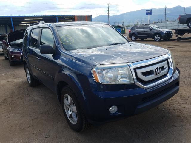 HONDA PILOT EXL 2010 5fnyf4h56ab005909