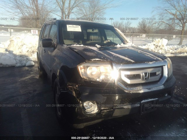 HONDA PILOT 2010 5fnyf4h56ab007059