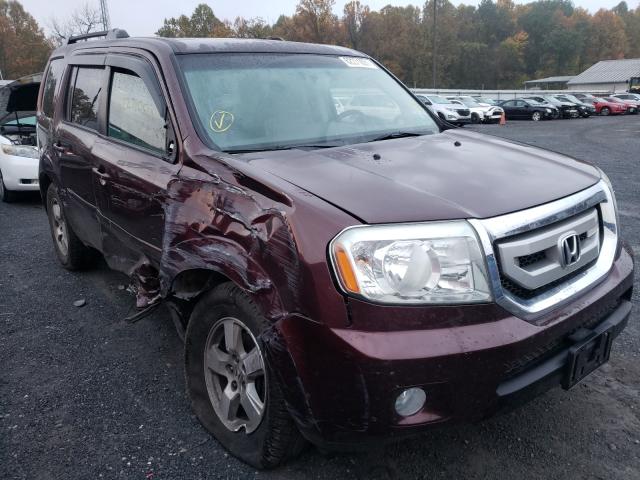 HONDA PILOT EXL 2010 5fnyf4h56ab013735