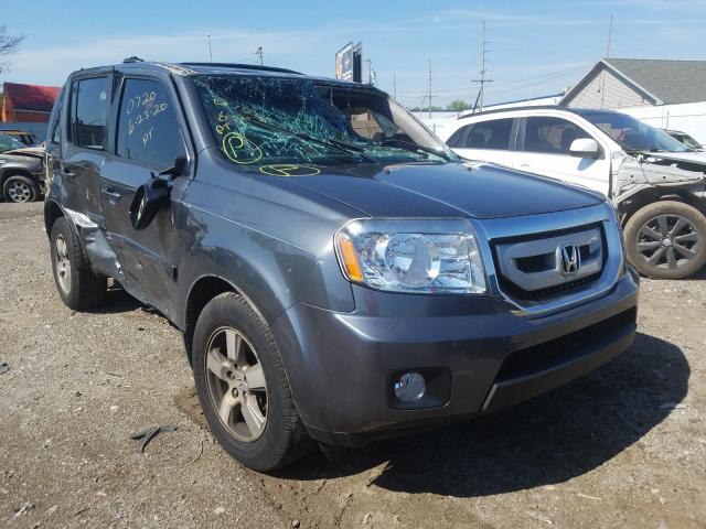 HONDA PILOT EXL 2010 5fnyf4h56ab015842