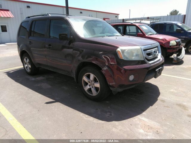 HONDA PILOT 2010 5fnyf4h56ab016845