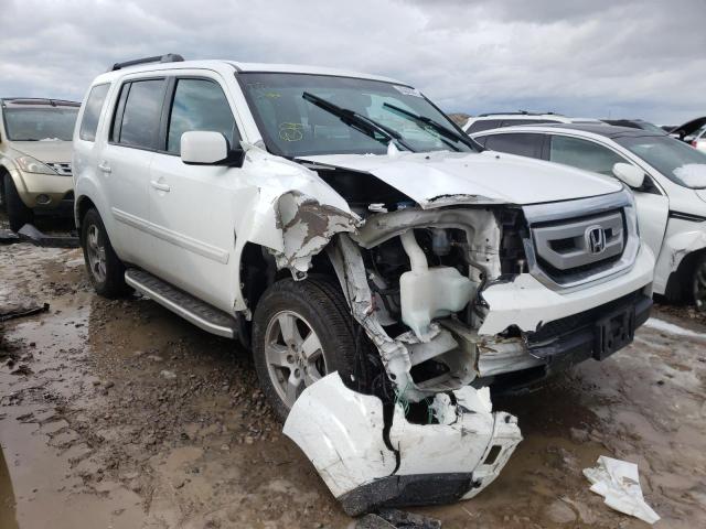 HONDA PILOT EXL 2010 5fnyf4h56ab028770