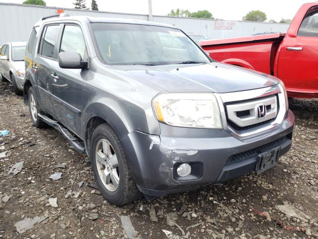 HONDA PILOT EXL 2010 5fnyf4h56ab029675