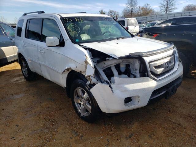 HONDA PILOT EXL 2010 5fnyf4h56ab029899