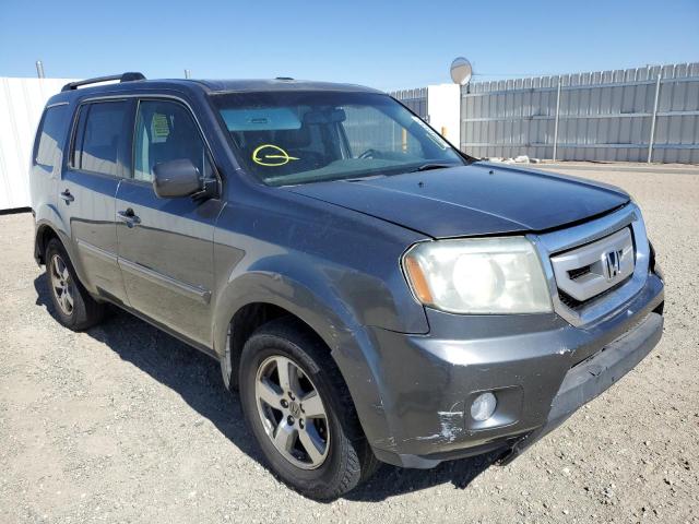 HONDA PILOT EXL 2010 5fnyf4h56ab031149