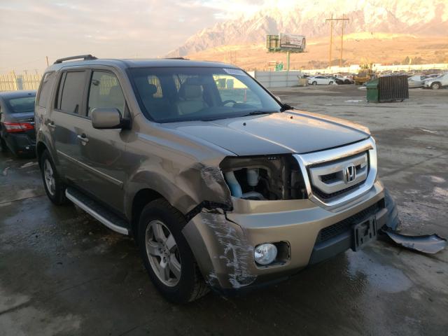 HONDA PILOT EXL 2010 5fnyf4h56ab031376