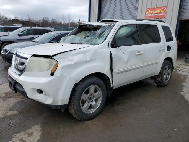 HONDA PILOT EXL 2010 5fnyf4h56ab034200