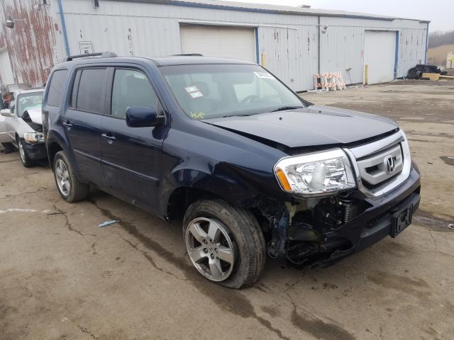 HONDA PILOT EXL 2010 5fnyf4h56ab034990