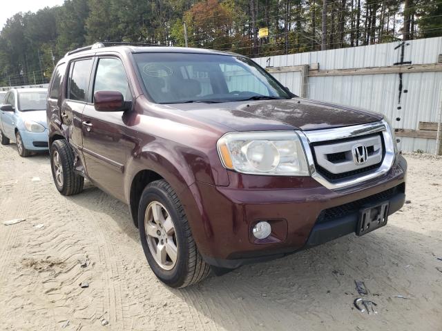 HONDA PILOT EXL 2010 5fnyf4h56ab036402