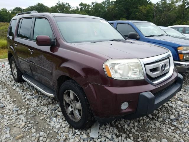 HONDA PILOT EXL 2010 5fnyf4h56ab037808