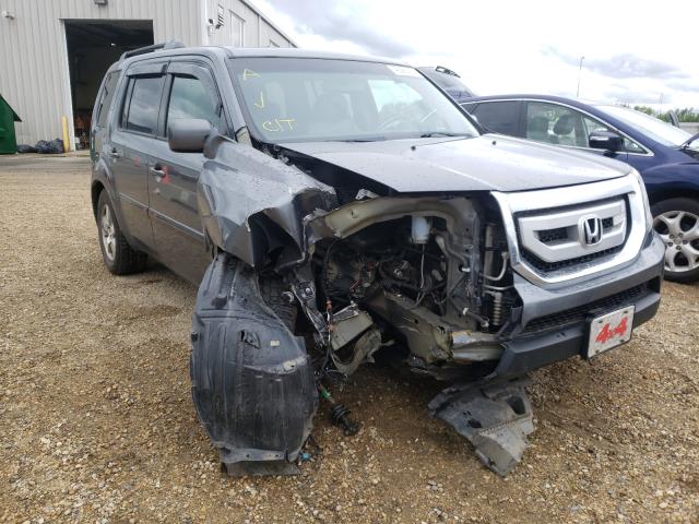 HONDA PILOT EXL 2010 5fnyf4h56ab501261