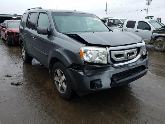 HONDA PILOT EXL 2011 5fnyf4h56bb002333