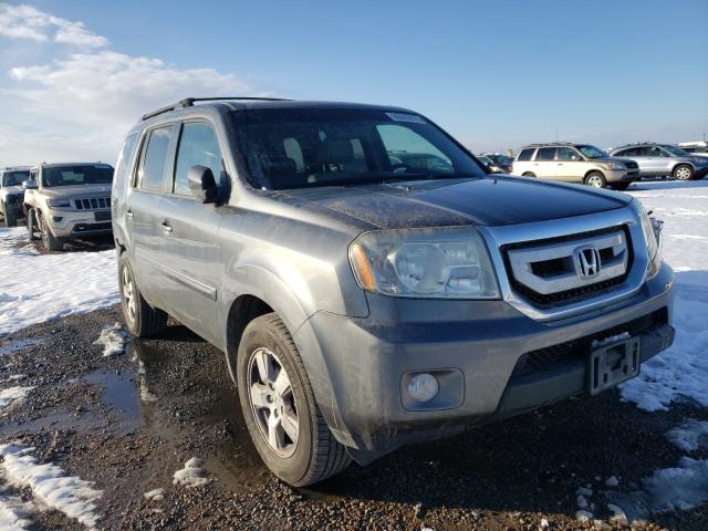 HONDA PILOT EXL 2011 5fnyf4h56bb005717