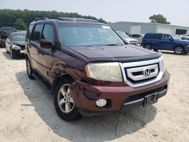 HONDA PILOT EXL 2011 5fnyf4h56bb010223