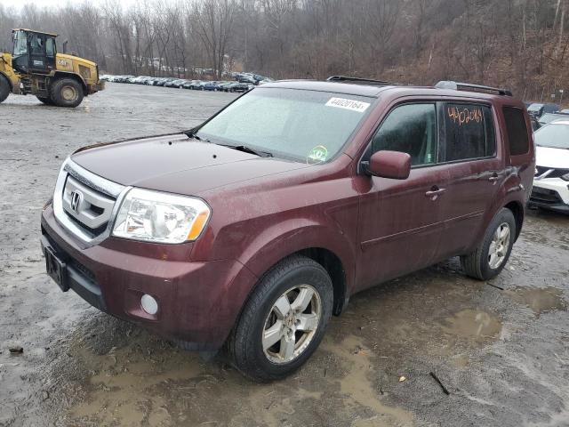 HONDA PILOT 2011 5fnyf4h56bb011842