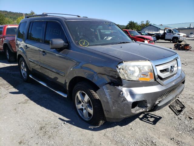 HONDA PILOT EXL 2011 5fnyf4h56bb014336