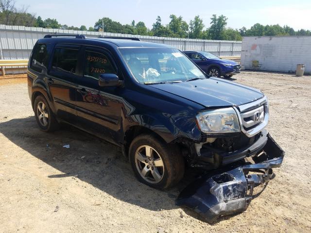 HONDA PILOT EXL 2011 5fnyf4h56bb025126